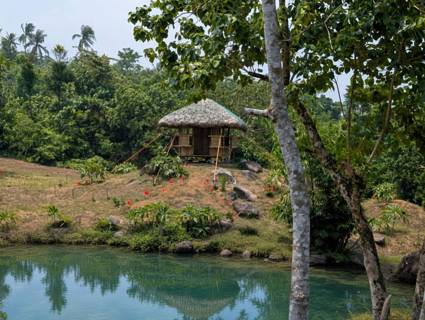 Thatched hut beside a clear pond among trees on the farm