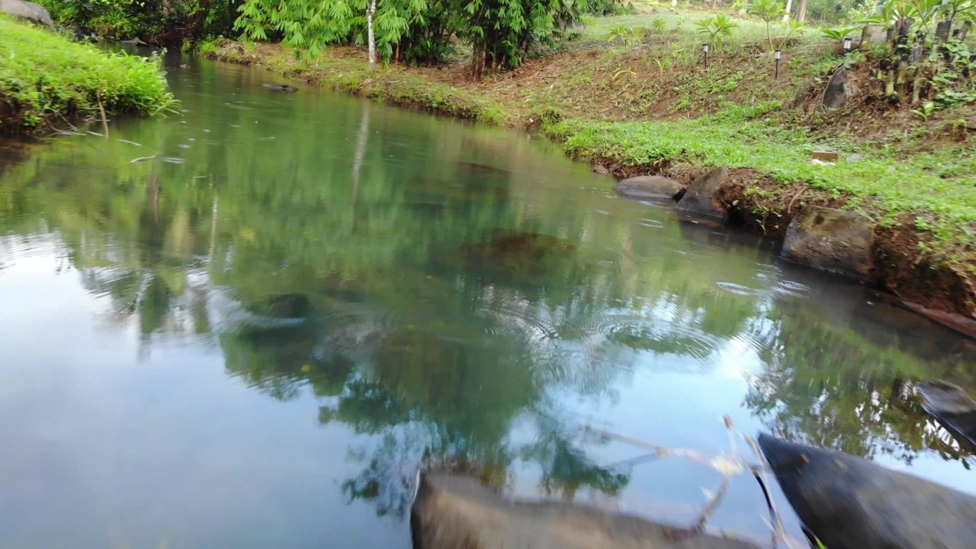 Clear creek pool with grassy banks
